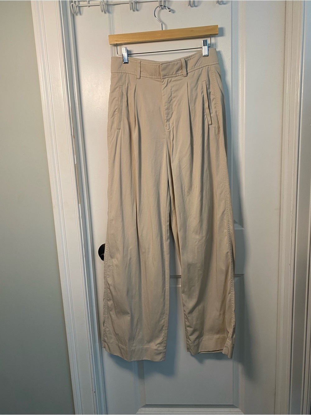 Everlane Neutral Beige Wide-Leg Pleated Chinos